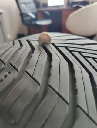 2 Neumáticos Michelin Crossclimate 2 SUV M+S