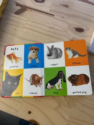 Libro en Inglés - First 100 animals