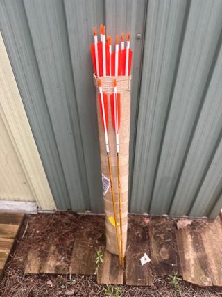 Lote de 12 Flechas Easton Legacy carbono