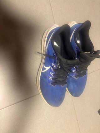 Zapatillas Nike Pegasus 39