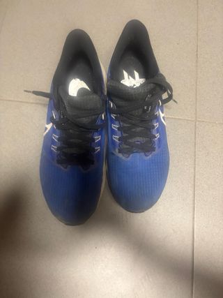 Zapatillas Nike Pegasus 39