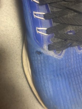 Zapatillas Nike Pegasus 39