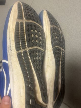 Zapatillas Nike Pegasus 39