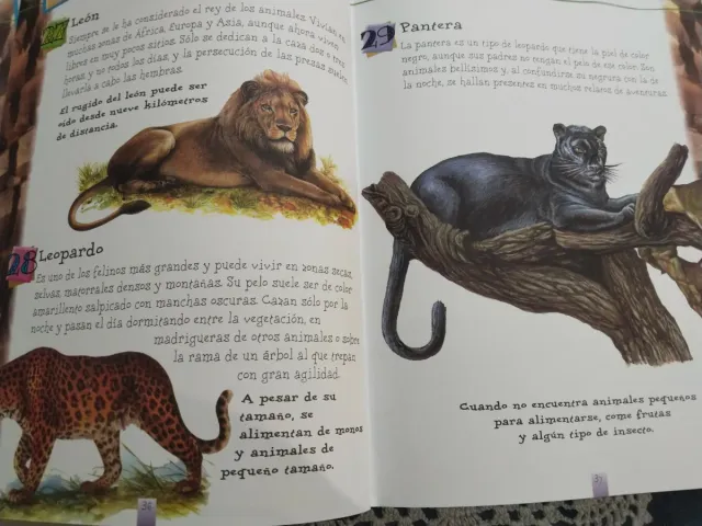 365 curiosidades de Animales