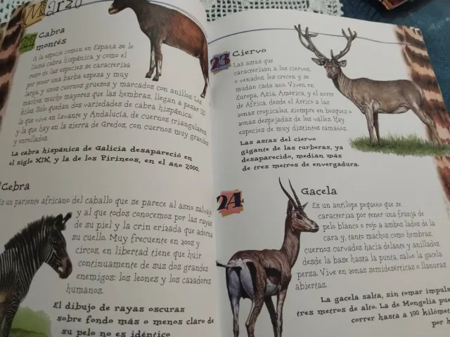 365 curiosidades de Animales