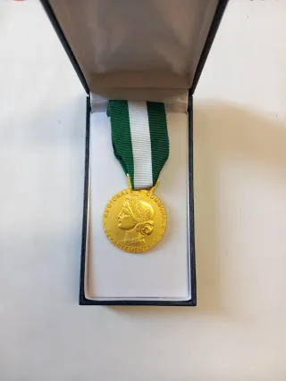 Medaglia d'onore Francese