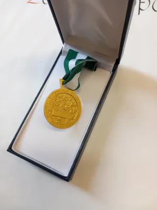 Medaglia d'onore Francese