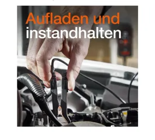 Cargador Batería Coche OSRAM 6V/12V 1A