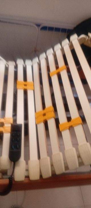 Cama eléctrica articulada