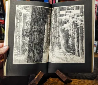 S. King, El Ciclo del Hombre Lobo 1a ungarian 1985