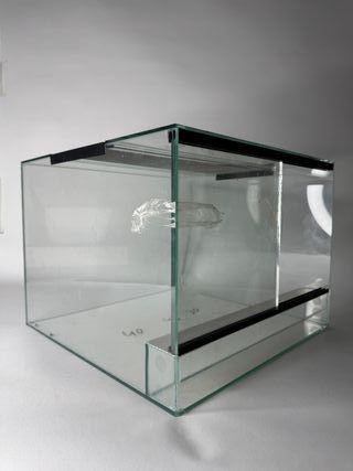 Terrario de cristal 40x40x30 con tapa de malla