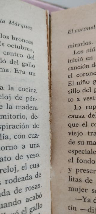 El coronel no tiene quien le escriba: Novela (R...