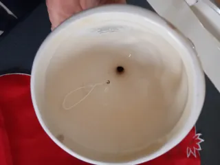 Set 2 campanelli Natale ceramica