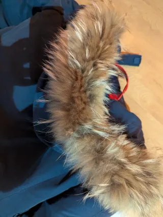 Chaquetón Freedomday 90% Plumón, 10% Pluma