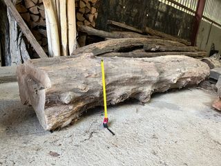 2 Troncos de Nogal - Cortados hace más de 10 años