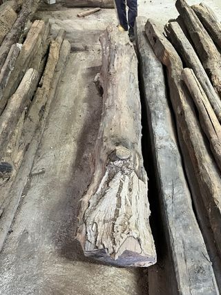 2 Troncos de Nogal - Cortados hace más de 10 años