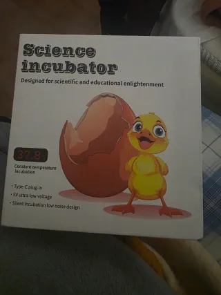 Incubadora de pollos con diseño de gallina