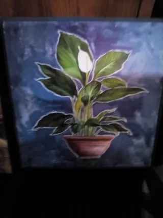 Cuadro de planta en maceta