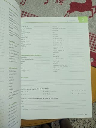 Netzwerk neu a2.1, libro del alumno y libro de ...