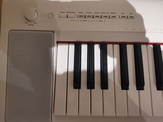 Teclado digital Yamaha Piaggero NP-35