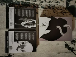 Tredici notti di rancore