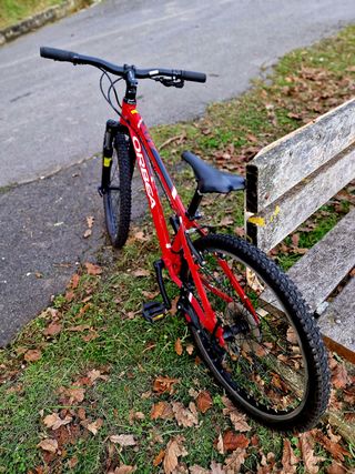Bicicleta Orbea MX 24 XC Infantil