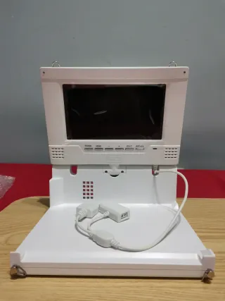 Pantalla Portátil Wii