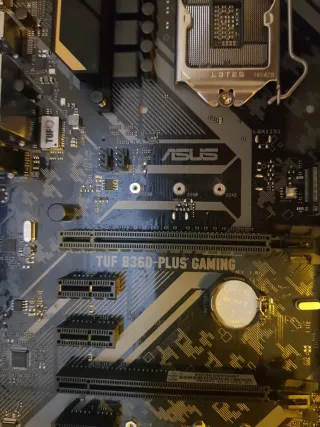 Placa Base ASUS TUF B360-PLUS GAMING