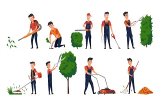 Se hacen trabajos de jardinería