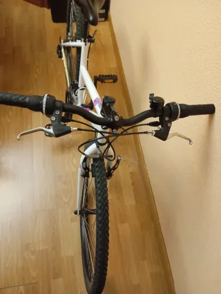 Bicicleta MTB Aluminio 26