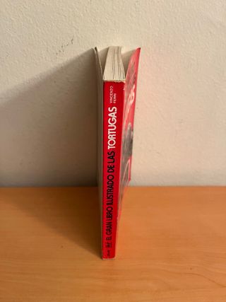 Gran libro de las tortugas, el