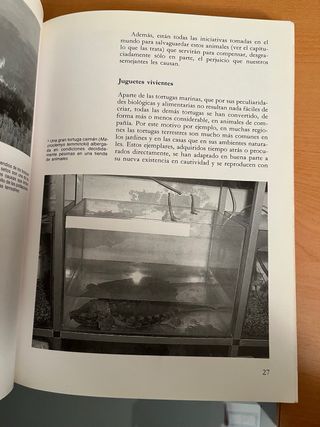 Gran libro de las tortugas, el