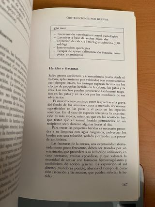 Gran libro de las tortugas, el