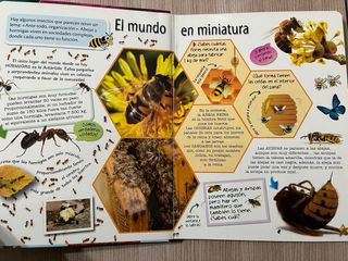 Libro de Animales Asombrosos