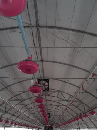 Comederos, bebederos y ventiladores avícolas