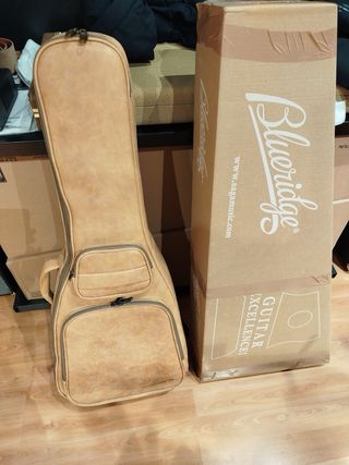 Guitarra Blueridge BR-180A ( MARTÍN-D45 )