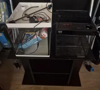 Acuarios Nano 20L y 30L con Mesa Negra