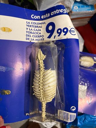 Colección El Cuerpo Humano DVD y Figura