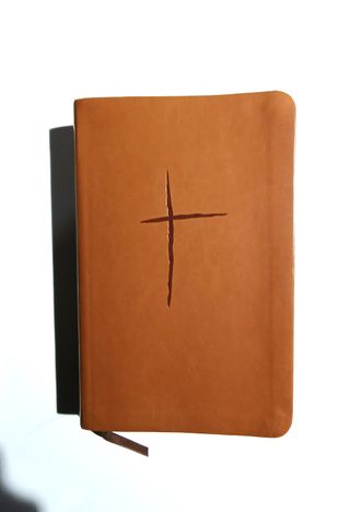 Biblia de Estudio Plenitud tapa marrón.