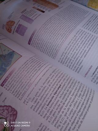 Fundamentos de Psicobiología