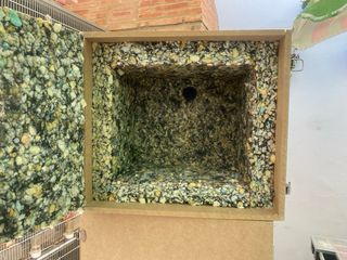 Cajón Educador para Pájaros