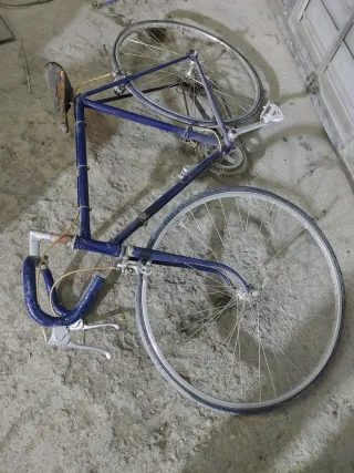 Bicicleta Clásica Azul