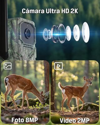 NUEVA Cámara Caza 4G Solar SIM GPS IP66 A ESTRENAR