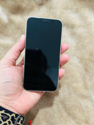 iPhone 12 mini verde