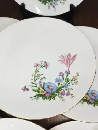 12 Piatti piani Bavaria Vintage Fiori