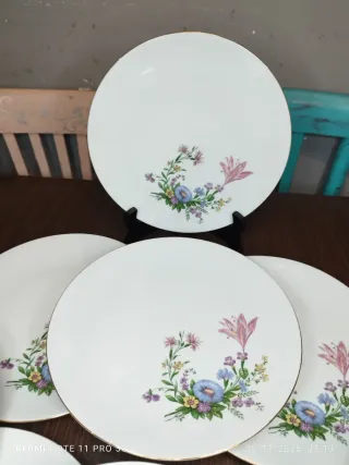 12 Piatti piani Bavaria Vintage Fiori