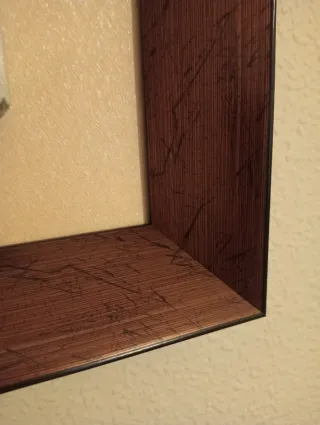 Cuadro madera lienzo tulipán 55x55