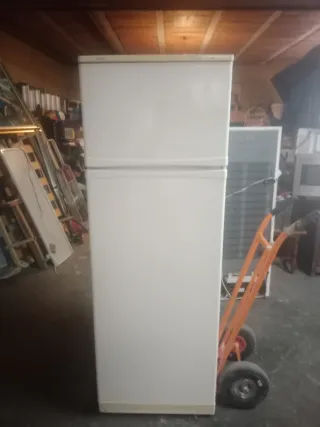 Nevera blanca con congelador