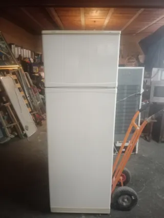 Nevera blanca con congelador