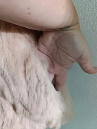 Chaleco de pelo rosa Hosy Talla única